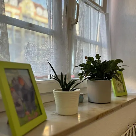 Sonnige Wohnung, Nur 10 Minuten Bis Ins Zentrum Erfurt