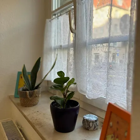 Sonnige Wohnung, Nur 10 Minuten Bis Ins Zentrum Erfurt
